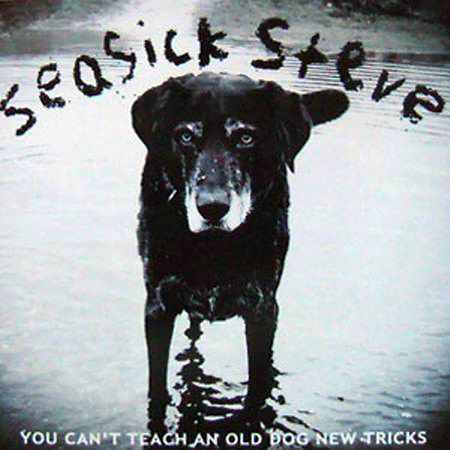 You Can't Teach An Old Dog New Tricks