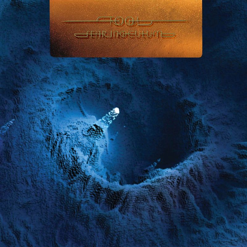 Fear Inoculum - 5 LP Boxset