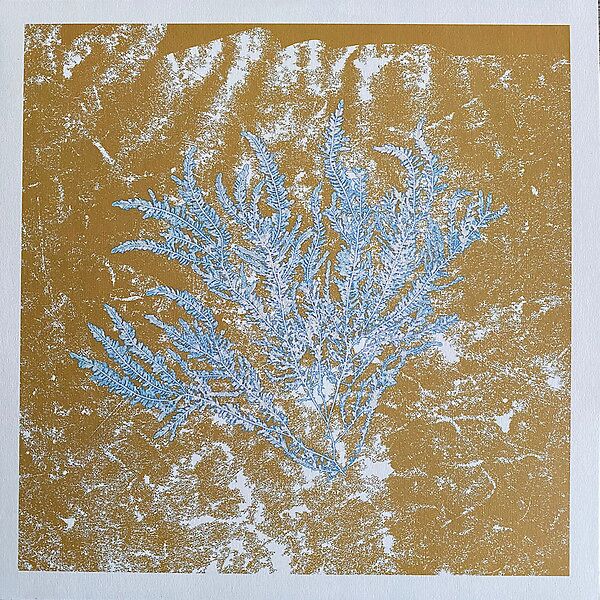 For Those Of You Who Have Never (And Also Those Who Have)