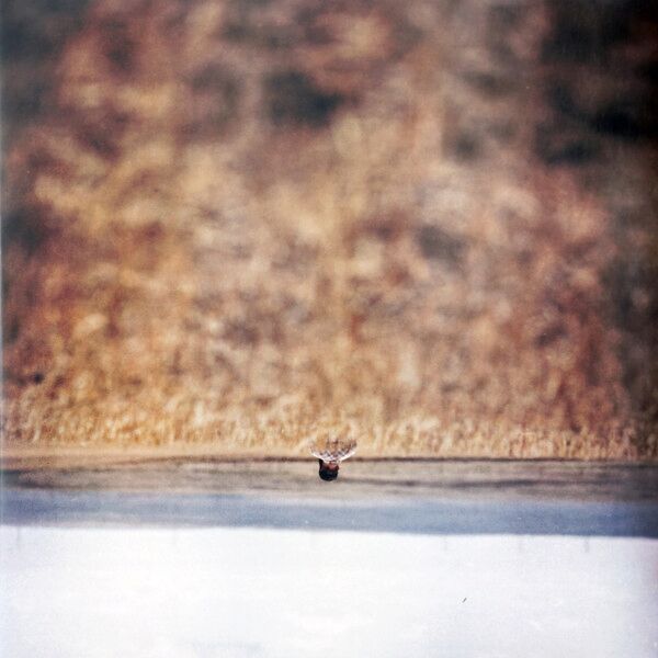 Hands That Bind (Original Motion Picture Soundtrack)