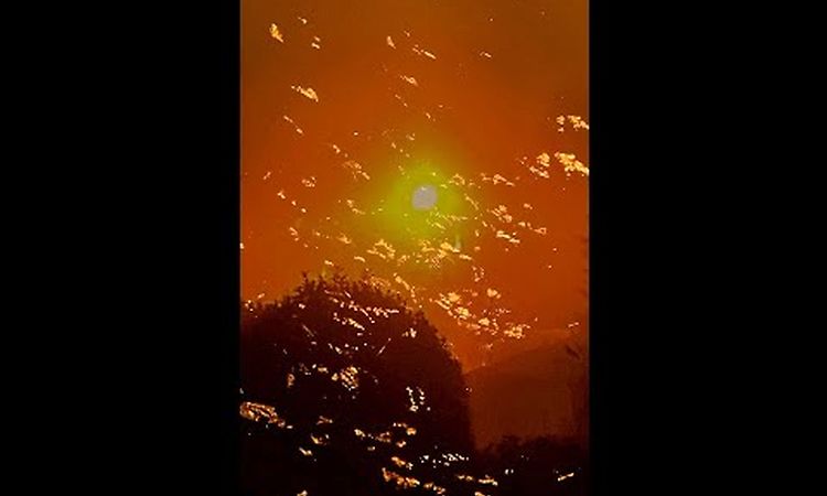 Pablo’s Eye – “Orpheus” (Trailer LP A mountain is an idea - TFM004)