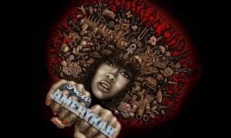 Erykah Badu- New Amerykah Pt 1: 4th World War; Twinkle