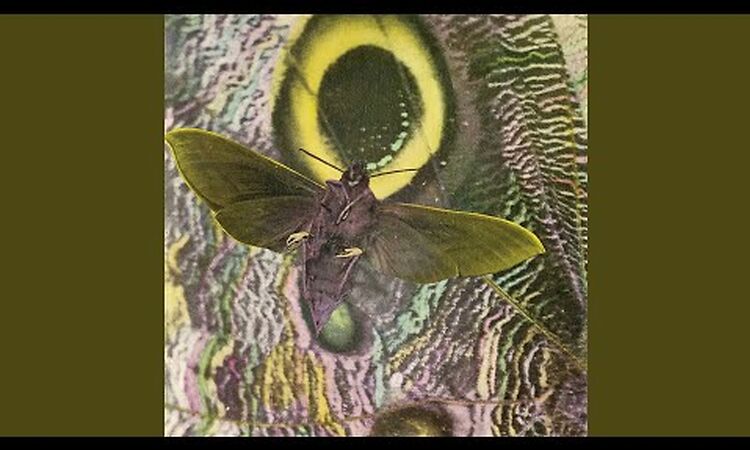 Mothman