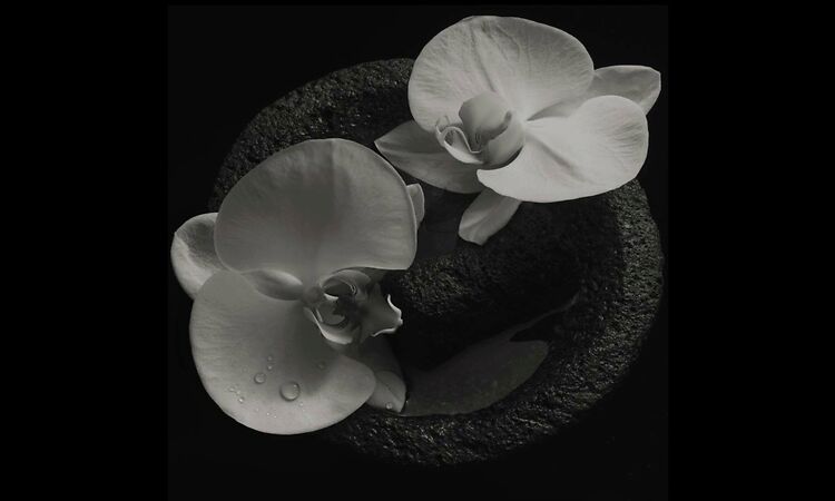 Mike Patton, Jean-Claude Vannier "Browning"