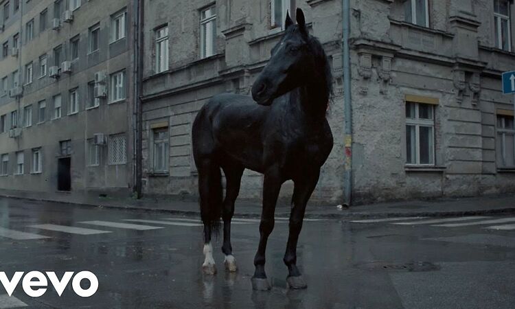 Arlo Parks - Weightless (Official Video)