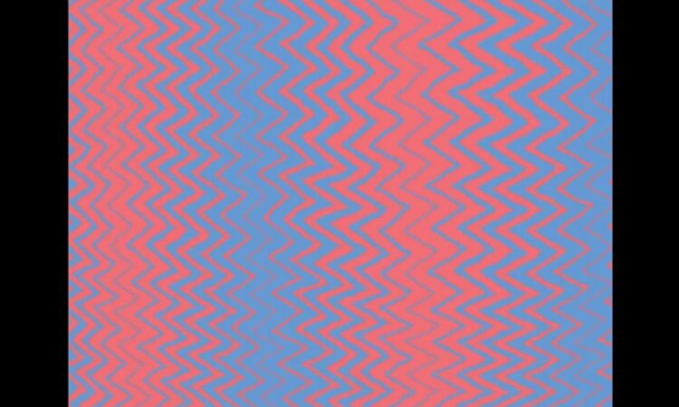 The Sunflowers - Castle Spell (ALBUM STREAM)