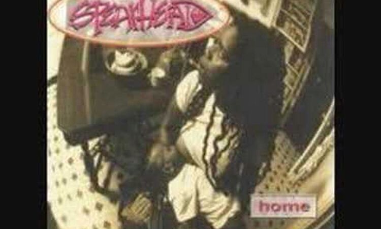 Spearhead - Dream Team