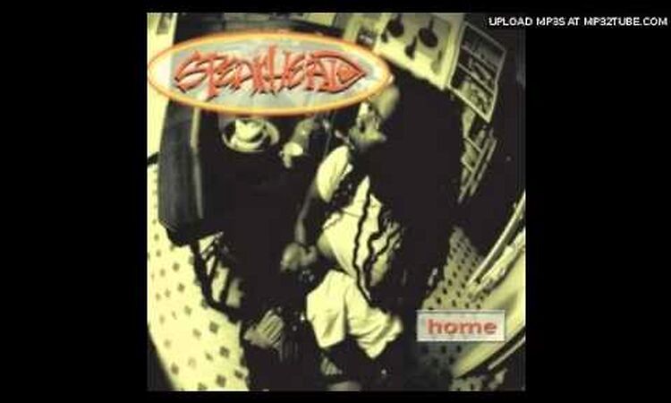 Spearhead - Red Beans & Rice