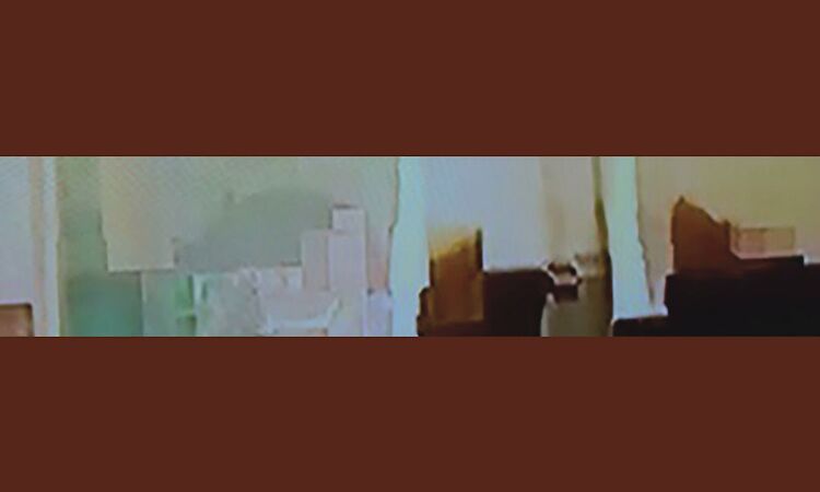 Pole -Tanzboden (Official Audio)