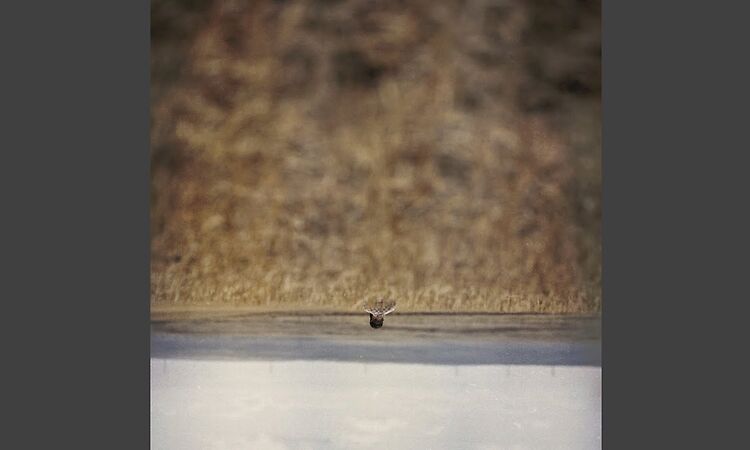 That's Not How the World Works