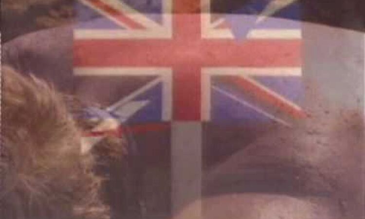 "States of Mind"  by Senser, of Stacked up C D