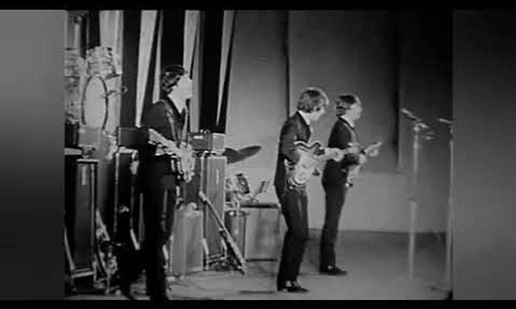 The Beatles You Can't Do That (Live At Hollywood Bowl 1964)