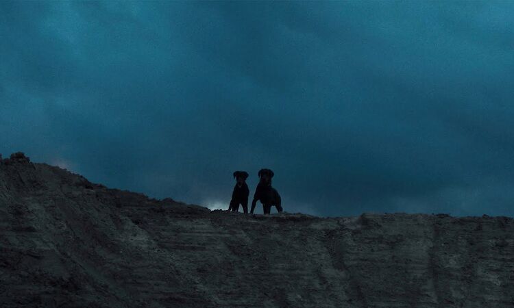 NTO ? Sofiane Pamart - Loyalty (Official Video)