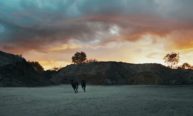 NTO ? Sofiane Pamart - Manifesto (Official Lyric Video)