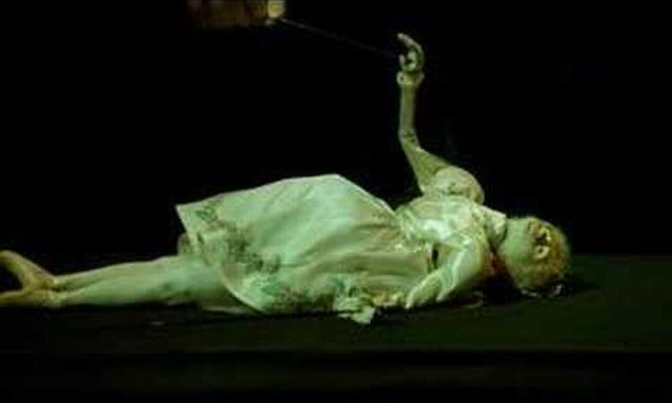 La double vie de Veronique