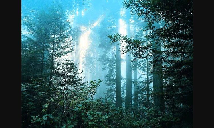 Mike Patton - The Snow Angel (The Place Beyond The pines) [10 min version]