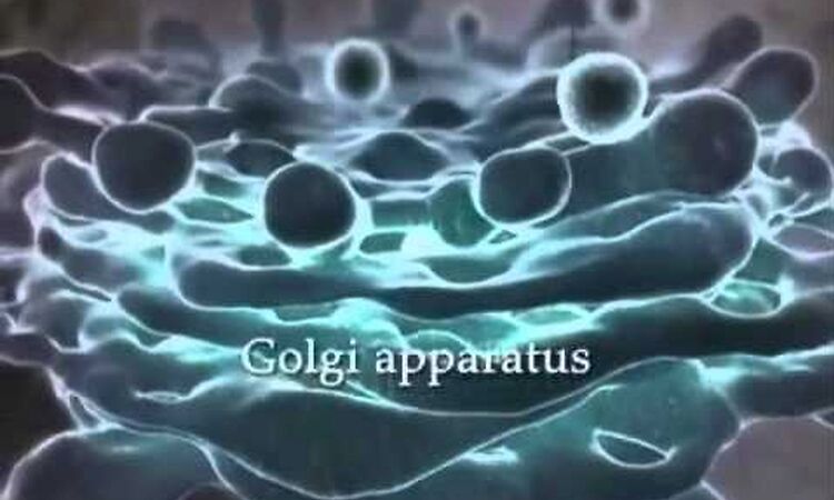 Tomandandy - Safe Heroin