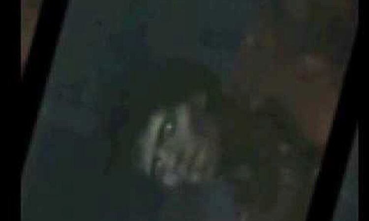 Scientist - Vampire Initiative