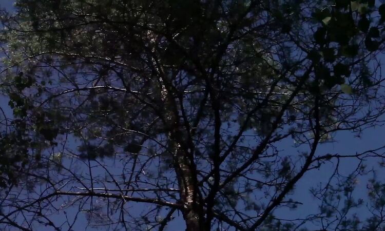 Daniel Norgren North America Tour 2017