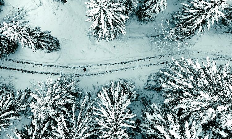 Pure Love (Official Video) - DJ Koze feat. Damon Albarn