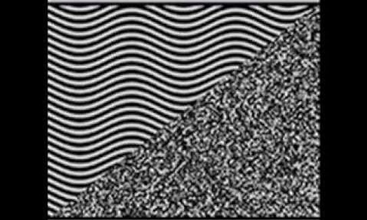 The Invisible Girls - Huddersfield Wastes