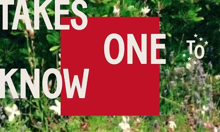 The Beaches - Takes One To Know One (Lyric Video)