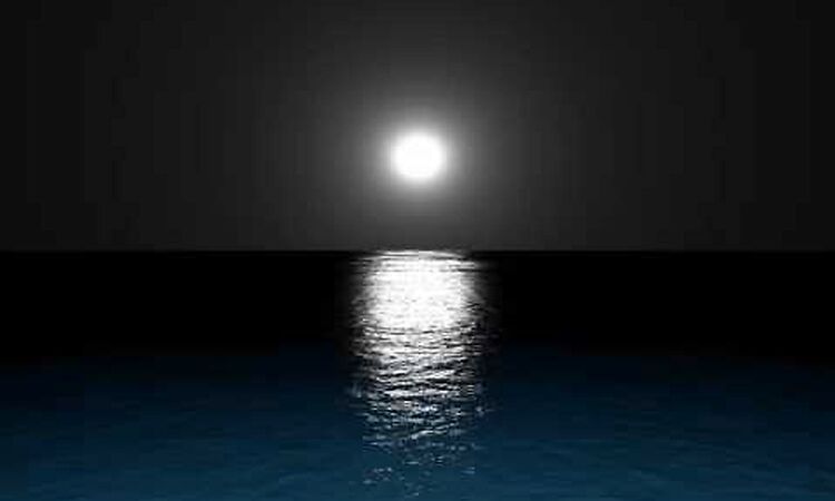 Jocelyne Pook - " the dream "