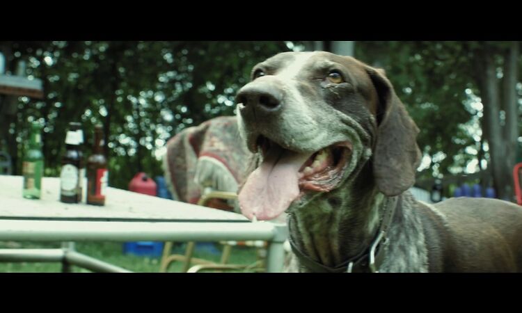 William Elliott Whitmore "Busted" (Official Music Video)