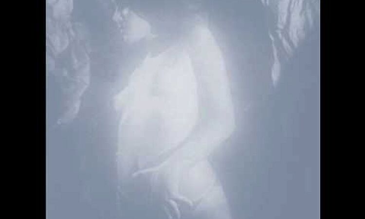 Don't fade on me - Magnolia Electric Co.