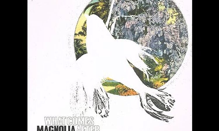 Hard To Love A Man | Magnolia Electric Co | What Comes After The Blues | 2005 LP