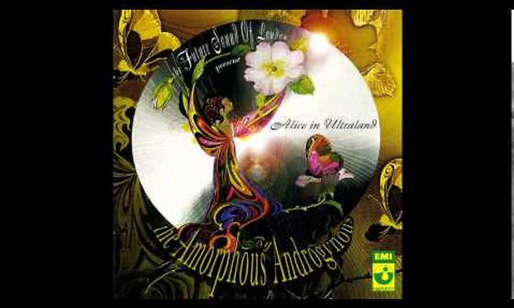 Amorphous Androgynous In the Summertime of Consciousness