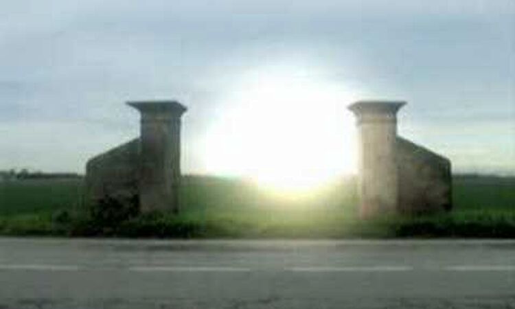 Amorphous Androgynous - The world is full of plankton