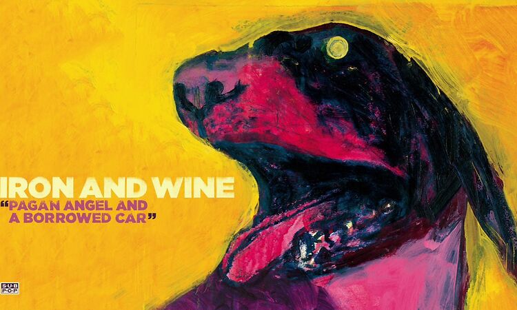 Iron & Wine - Pagan Angel and a Borrowed Car