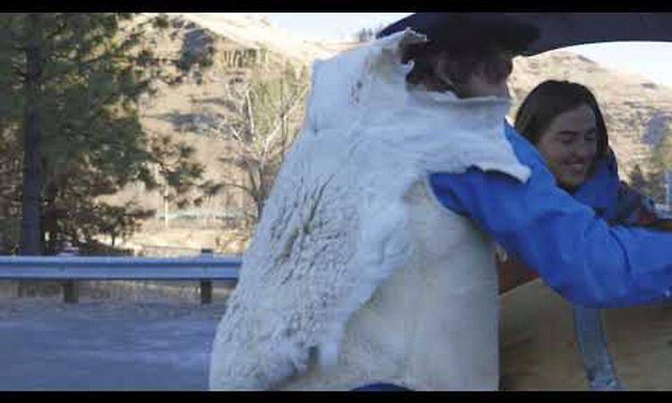 Margo Cilker - That River (Official Video)