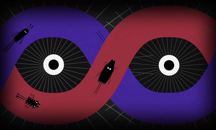 The Soft Cavalry - Never Be Without You (Official Video)