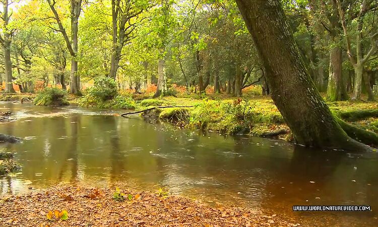 Ursula LeGuin & Todd Barton - Kesh Musics from Always Coming Home - River Song