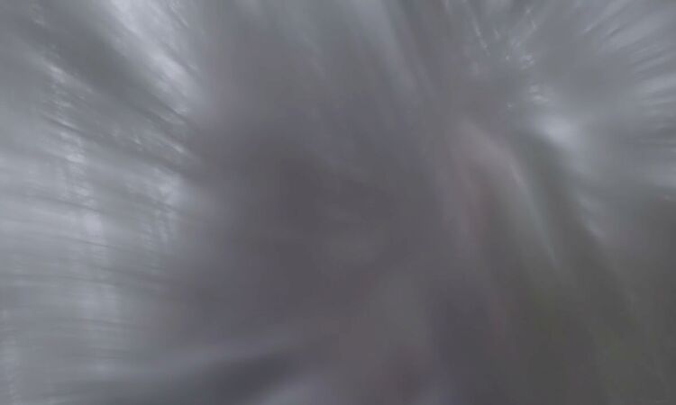 Maria Somerville - Violet (Official Visualiser)