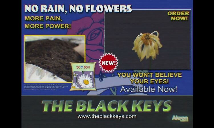 The Black Keys - No Rain, No Flowers (Official Audio)