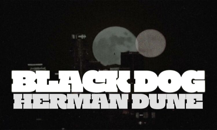 Black Dog - Herman Dune - Official Video