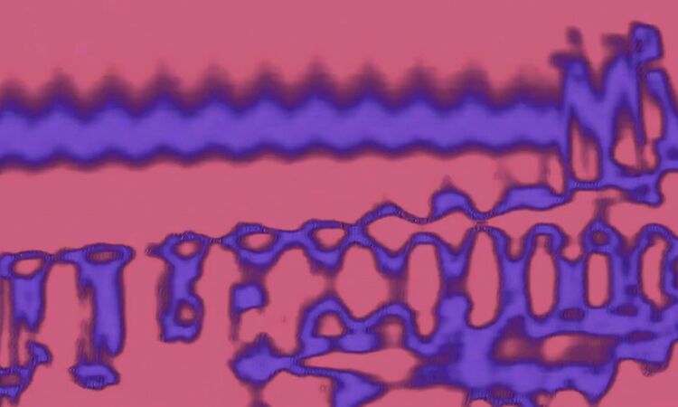 Daniel Avery - Dream Distortion