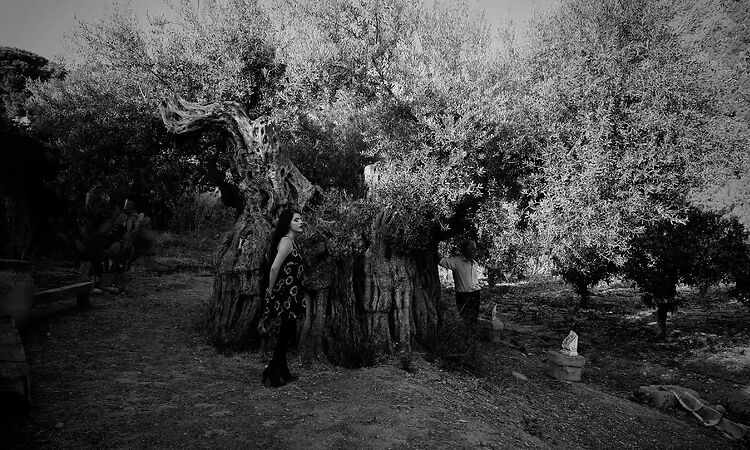 Mick Harvey & Amanda Acevedo - I Lost Something in the Hills (Official Video)