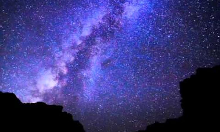 Mick Harvey - Wild Hearts