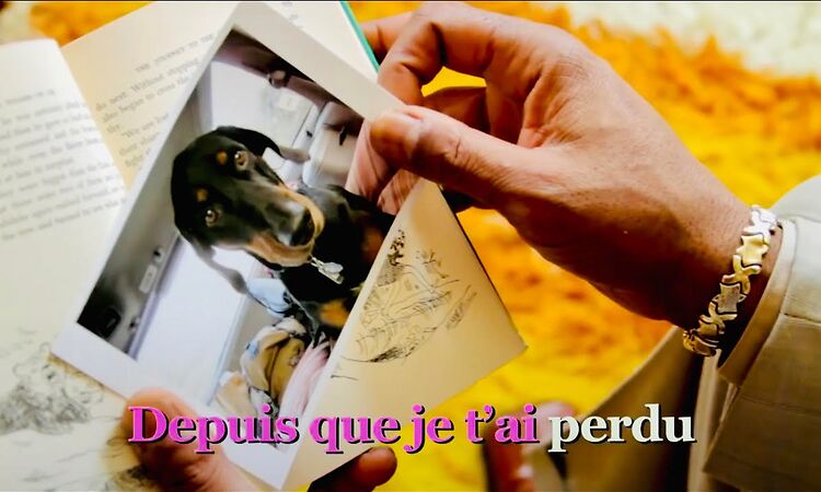 Oú est ma tête? - Pink Martini | Official Music Video - Second Place Video Contest Winner