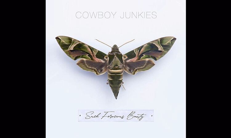 Cowboy Junkies - Such Ferocious Beauty (Full Album) 2023