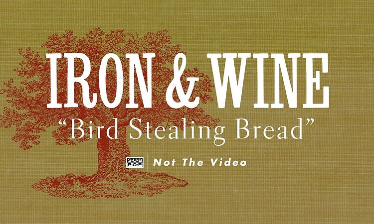 Iron & Wine - Bird Stealing Bread