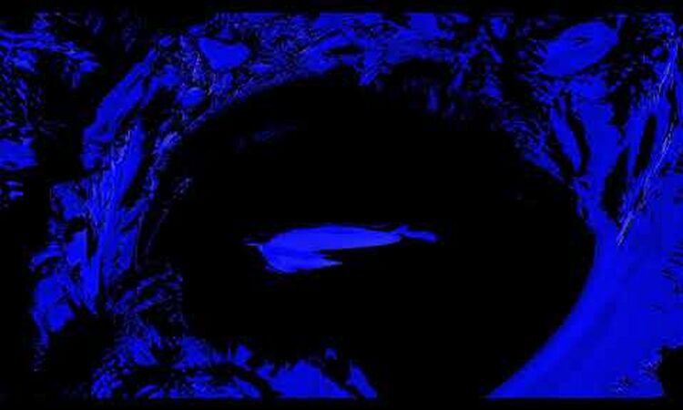 Sunroof - 1.3 30.5.19 (Official Visual)