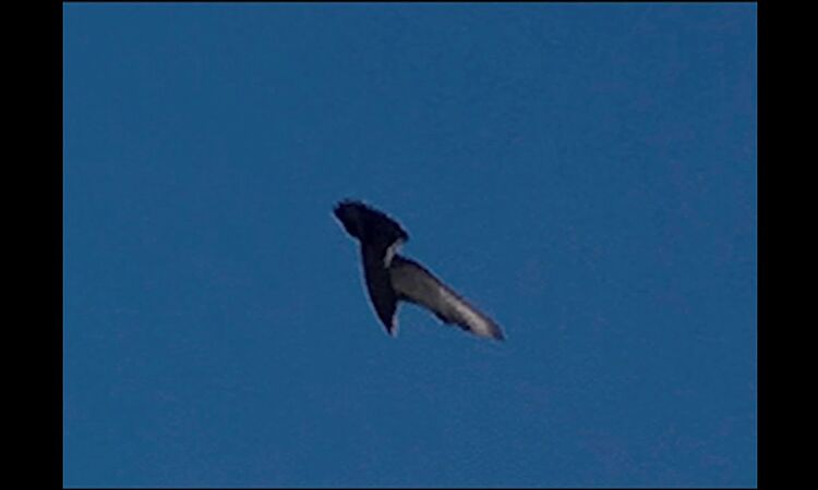 Visionist - Winter Sun (Lyric Video)