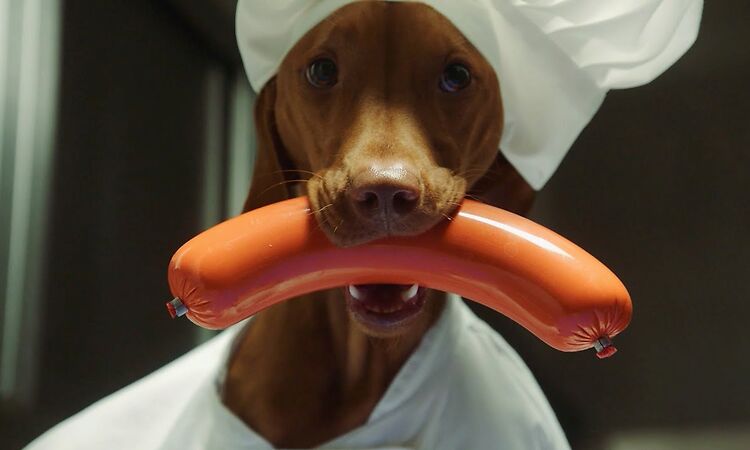 Chilly Gonzales - Cut Dick (Official Video)