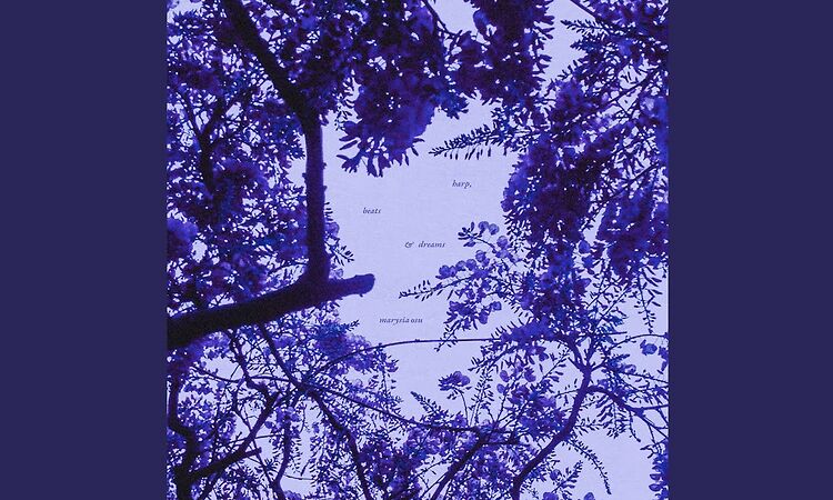 melting timbers (feat. Plumm)