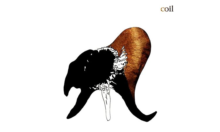 Coil - "Black Antlers (Where's Your Child?)" (Official Remastered Audio)